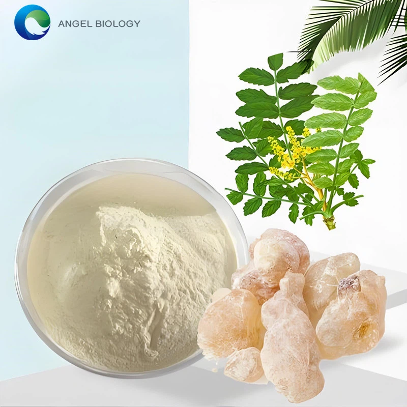 Is Boswellia Extract the Same as Frankincense?